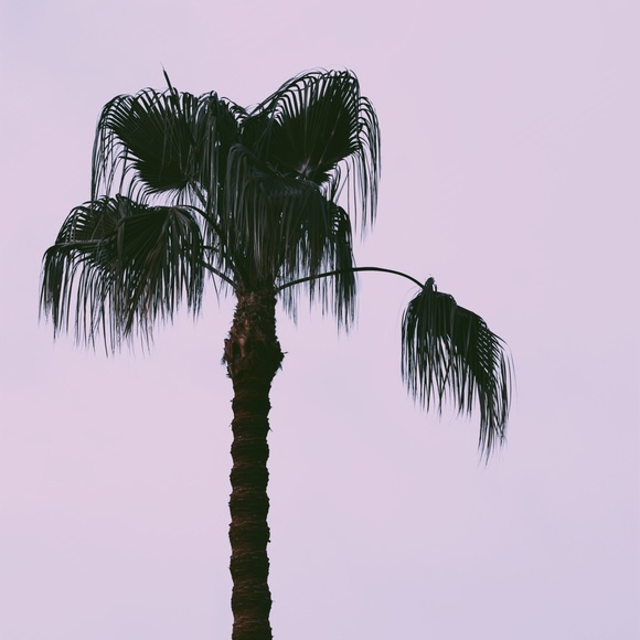 ✨New items sale ✨✨✨✨ - Picture 3 of 6